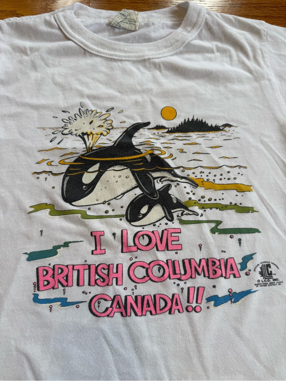 Vintage 90s I Love British Columbia Canada T-shirt, Whale Shamu (Kids Youth 6) - Picture 2 of 10